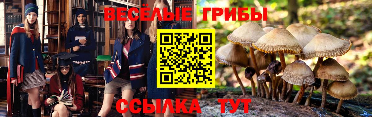 Псилоцибиновые грибы прущие грибы Муром