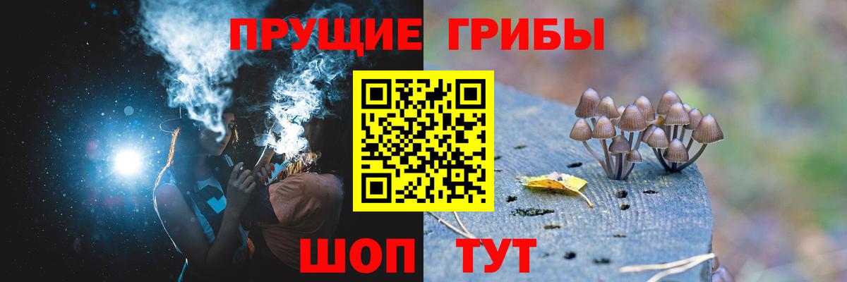 Муром  Псилоцибиновые грибы MAGIC MUSHROOMS  Вход с VPN  Псилоцибиновые грибы мухоморы 